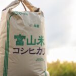 富山県産コシヒカリ
